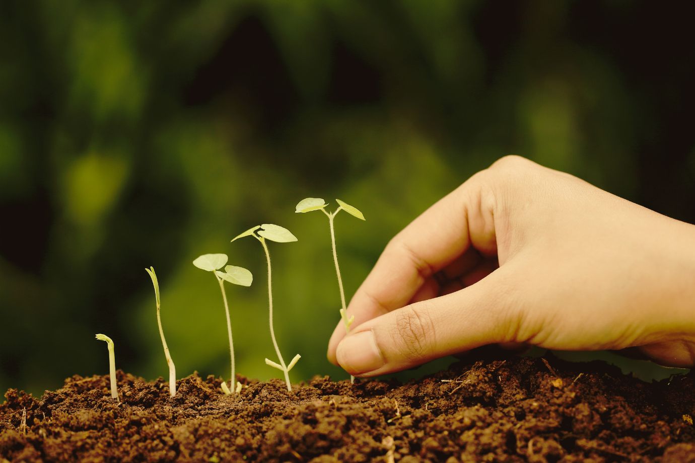 Το έμμεσο κέρδος που δεν βλέπουμε